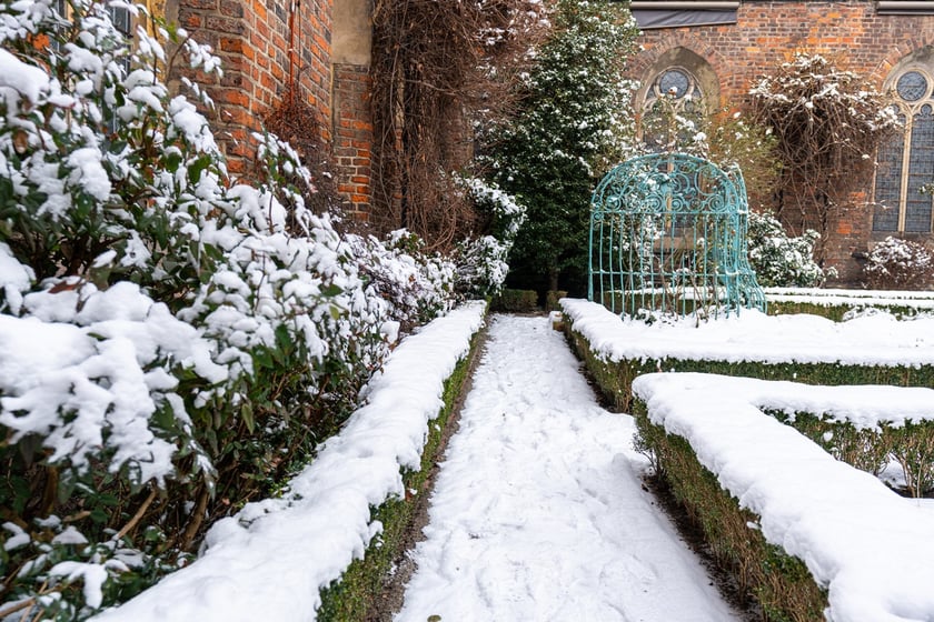 Wirydarz w Muzeum Architektury we Wrocławiu